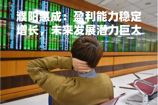 濮阳惠成：盈利能力稳定增长，未来发展潜力巨大