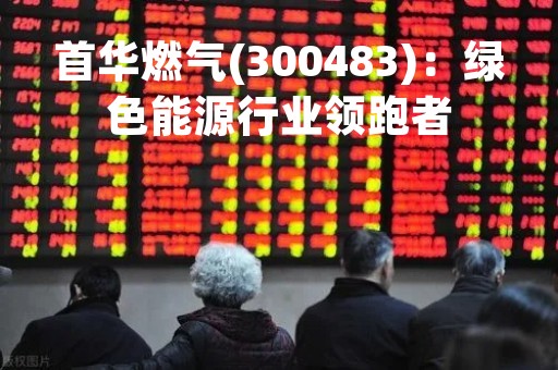 首华燃气(300483)：绿色能源行业领跑者