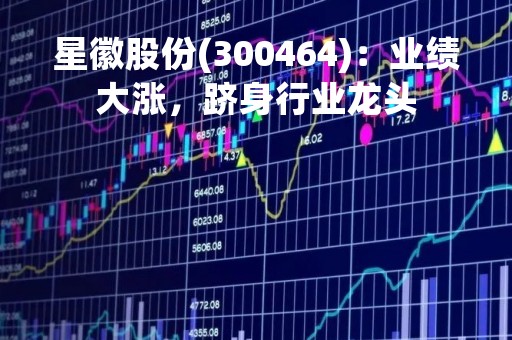 星徽股份(300464)：业绩大涨，跻身行业龙头