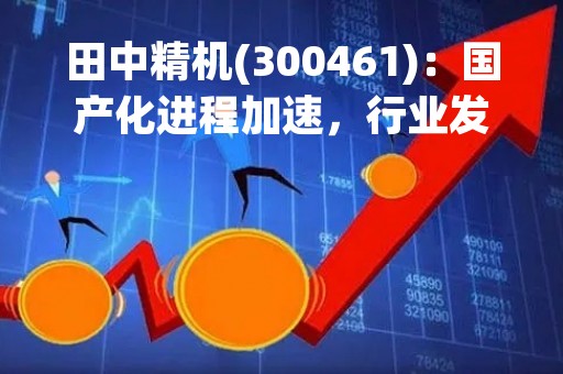 田中精机(300461)：国产化进程加速，行业发展前景广阔