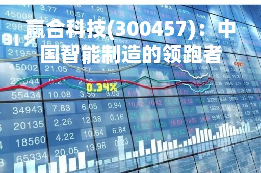 赢合科技(300457)：中国智能制造的领跑者