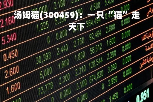 汤姆猫(300459)：一只“猫”走天下