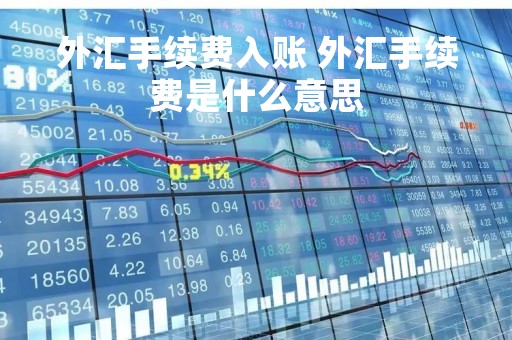 外汇手续费入账 外汇手续费是什么意思