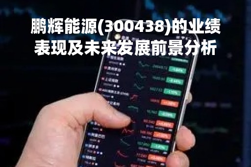 鹏辉能源(300438)的业绩表现及未来发展前景分析