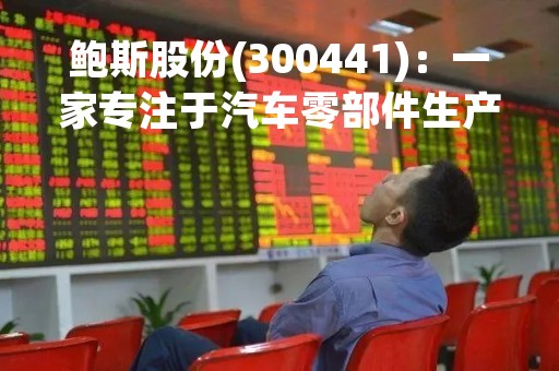 鲍斯股份(300441)：一家专注于汽车零部件生产的公司