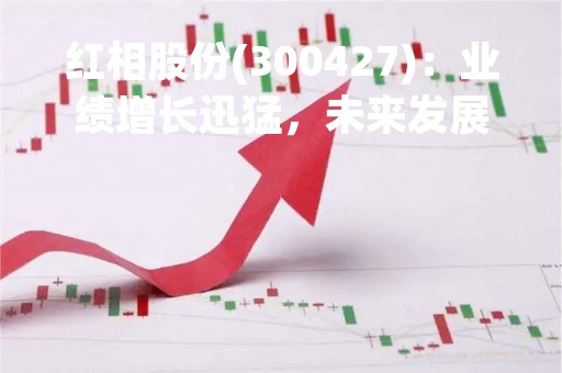 红相股份(300427)：业绩增长迅猛，未来发展潜力巨大