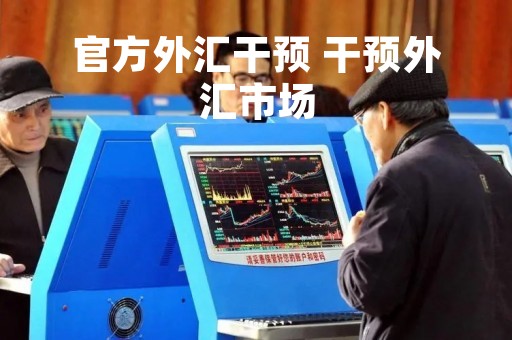 官方外汇干预 干预外汇市场