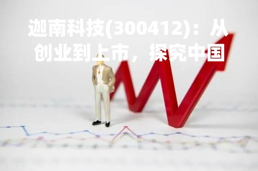 迦南科技(300412)：从创业到上市，探究中国芯片设计企业的机遇与挑战