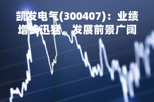 凯发电气(300407)：业绩增长迅猛，发展前景广阔