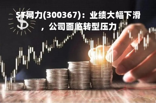 ST网力(300367)：业绩大幅下滑，公司面临转型压力