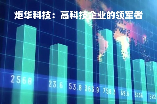 炬华科技：高科技企业的领军者