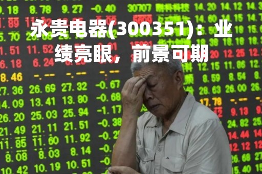 永贵电器(300351)：业绩亮眼，前景可期
