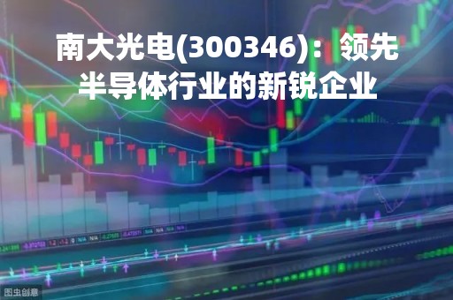南大光电(300346)：领先半导体行业的新锐企业