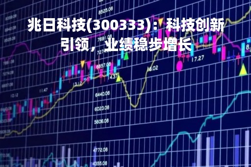 兆日科技(300333)：科技创新引领，业绩稳步增长