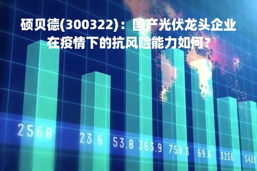 硕贝德(300322)：国产光伏龙头企业在疫情下的抗风险能力如何？