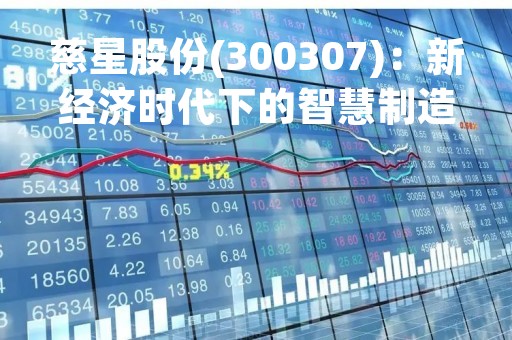 慈星股份(300307)：新经济时代下的智慧制造企业
