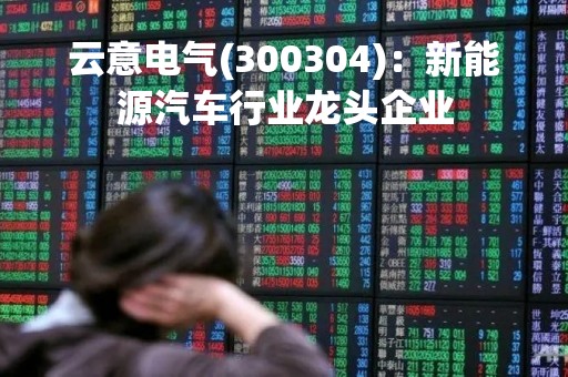 云意电气(300304)：新能源汽车行业龙头企业