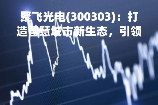 聚飞光电(300303)：打造智慧城市新生态，引领光电行业创新发展