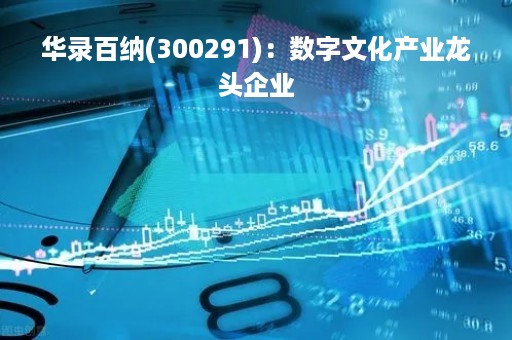 华录百纳(300291)：数字文化产业龙头企业