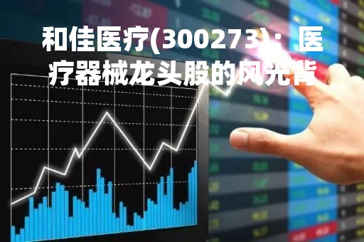 和佳医疗(300273)：医疗器械龙头股的风光背后