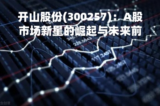 开山股份(300257)：A股市场新星的崛起与未来前景