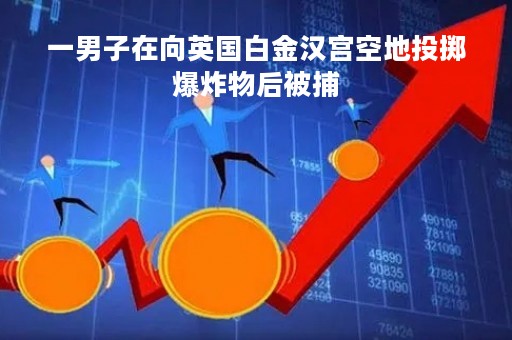 一男子在向英国白金汉宫空地投掷爆炸物后被捕