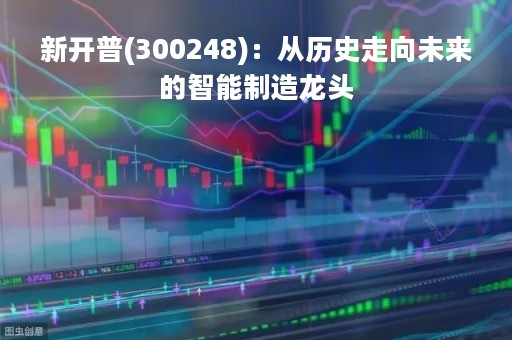 新开普(300248)：从历史走向未来的智能制造龙头