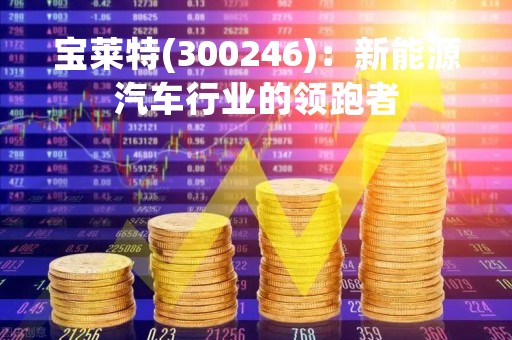 宝莱特(300246)：新能源汽车行业的领跑者