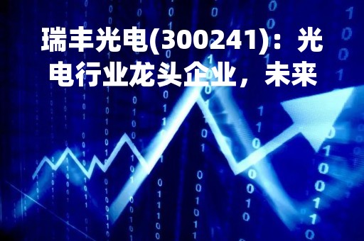 瑞丰光电(300241)：光电行业龙头企业，未来发展前景广阔