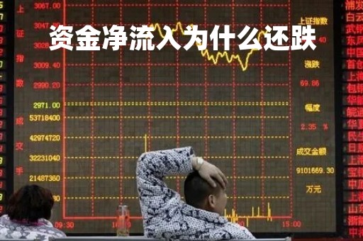 资金净流入为什么还跌