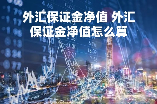 外汇保证金净值 外汇保证金净值怎么算