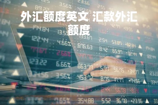 外汇额度英文 汇款外汇额度