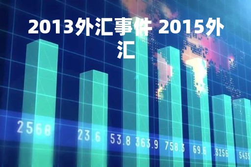 2013外汇事件 2015外汇