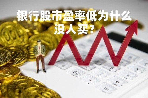 银行股市盈率低为什么没人买？