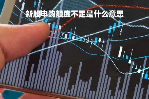 新股申购额度不足是什么意思