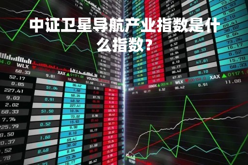 中证卫星导航产业指数是什么指数？
