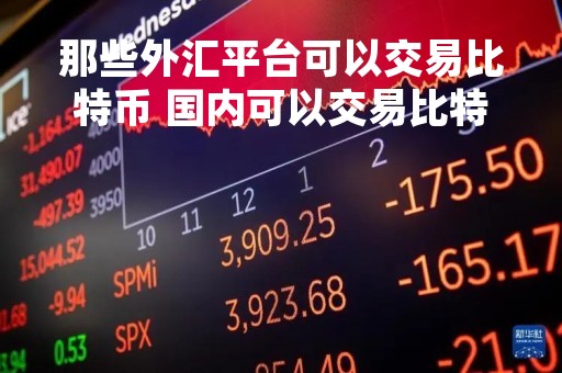 那些外汇平台可以交易比特币 国内可以交易比特币的平台