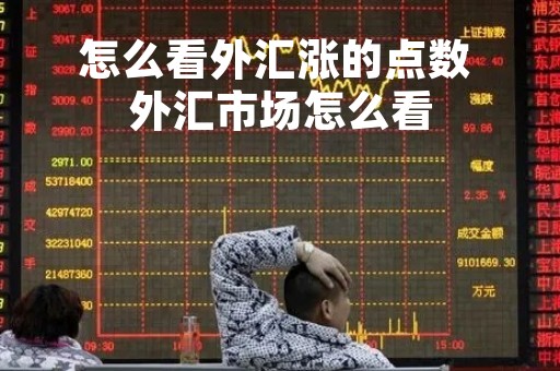 怎么看外汇涨的点数 外汇市场怎么看