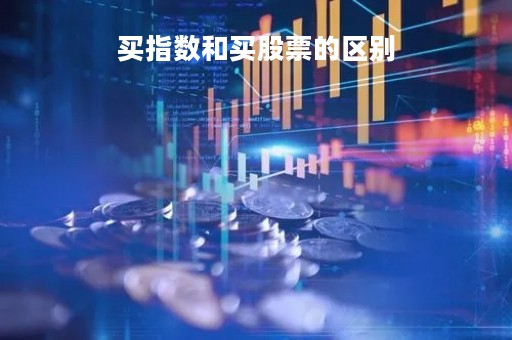 买指数和买股票的区别