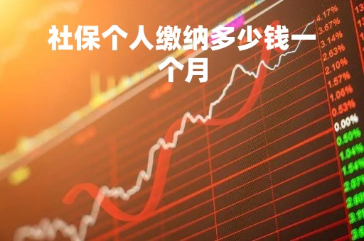 社保个人缴纳多少钱一个月