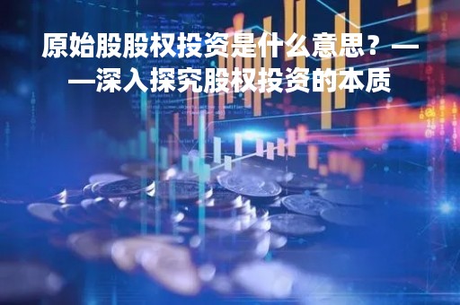 原始股股权投资是什么意思？——深入探究股权投资的本质