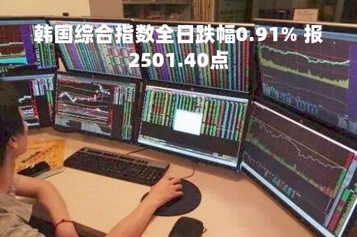 韩国综合指数全日跌幅0.91% 报2501.40点