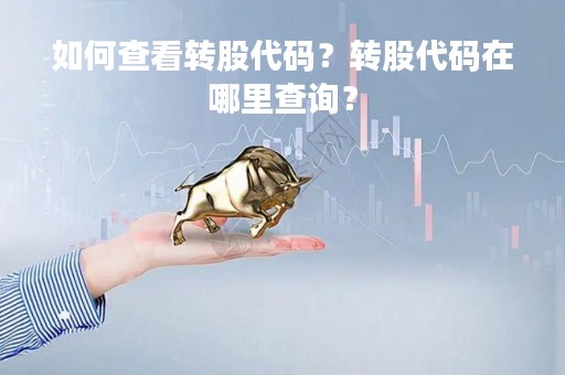 如何查看转股代码？转股代码在哪里查询？