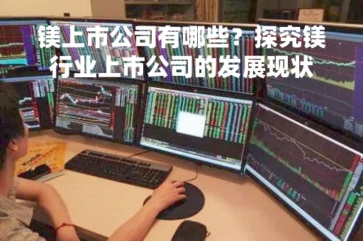 镁上市公司有哪些？探究镁行业上市公司的发展现状