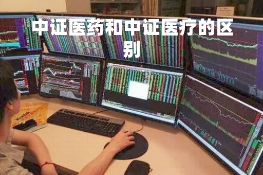 中证医药和中证医疗的区别