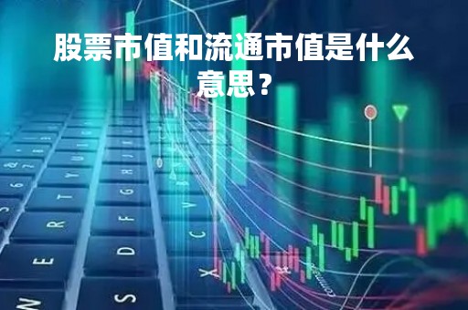 股票市值和流通市值是什么意思？