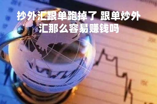 抄外汇跟单跑掉了 跟单炒外汇那么容易赚钱吗
