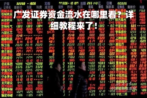 广发证券资金流水在哪里看？详细教程来了！