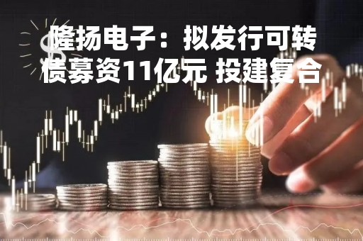隆扬电子：拟发行可转债募资11亿元 投建复合铜箔生产基地