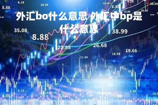 外汇bo什么意思 外汇中bp是什么意思